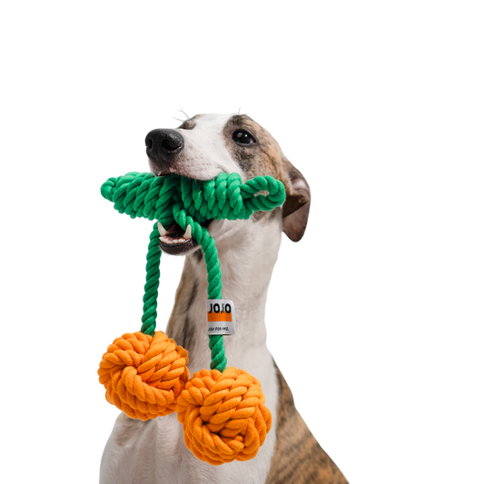 Cherry Rope Dog Toy – Durable Cotton Knot Chew Toy
