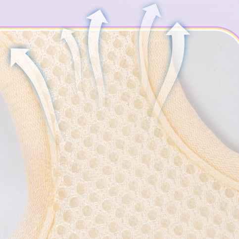 EcoPaw Sweet Bowknot Pet Harness & Leash Set