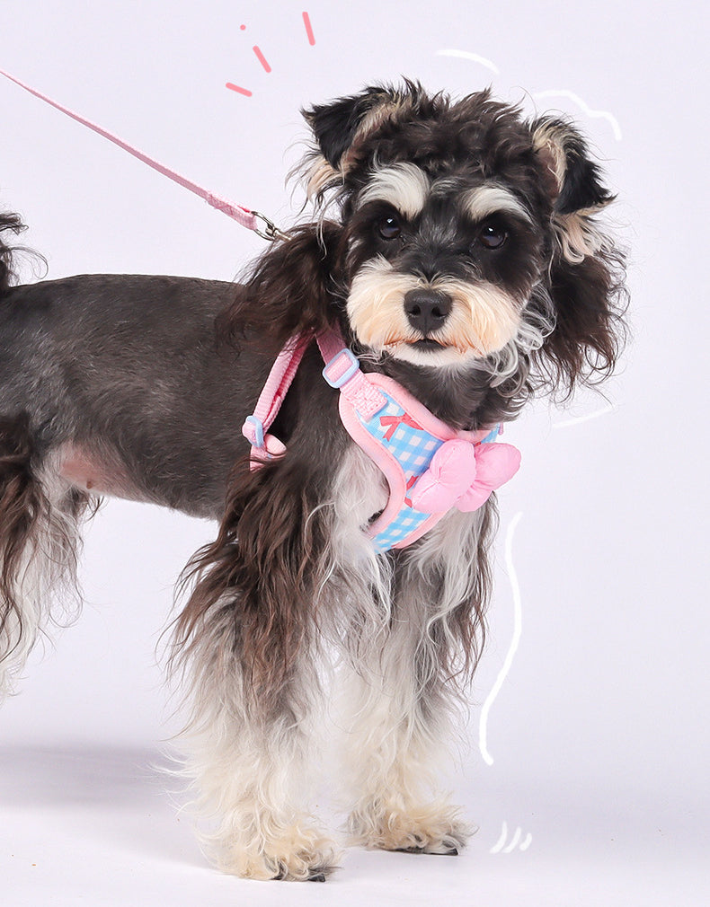 EcoPaw Sweet Bowknot Pet Harness & Leash Set