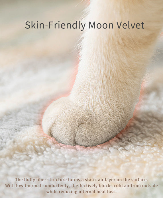 EcoPaw Natural Latex Pet Sofa Bed