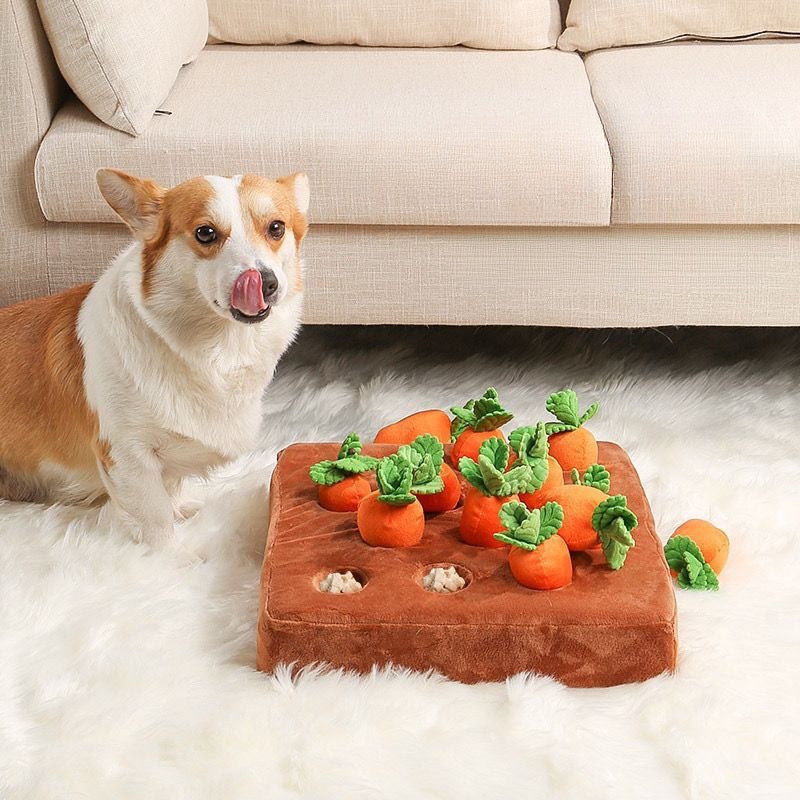 EcoPaw Carrot Harvest Enrichment Pet Toy