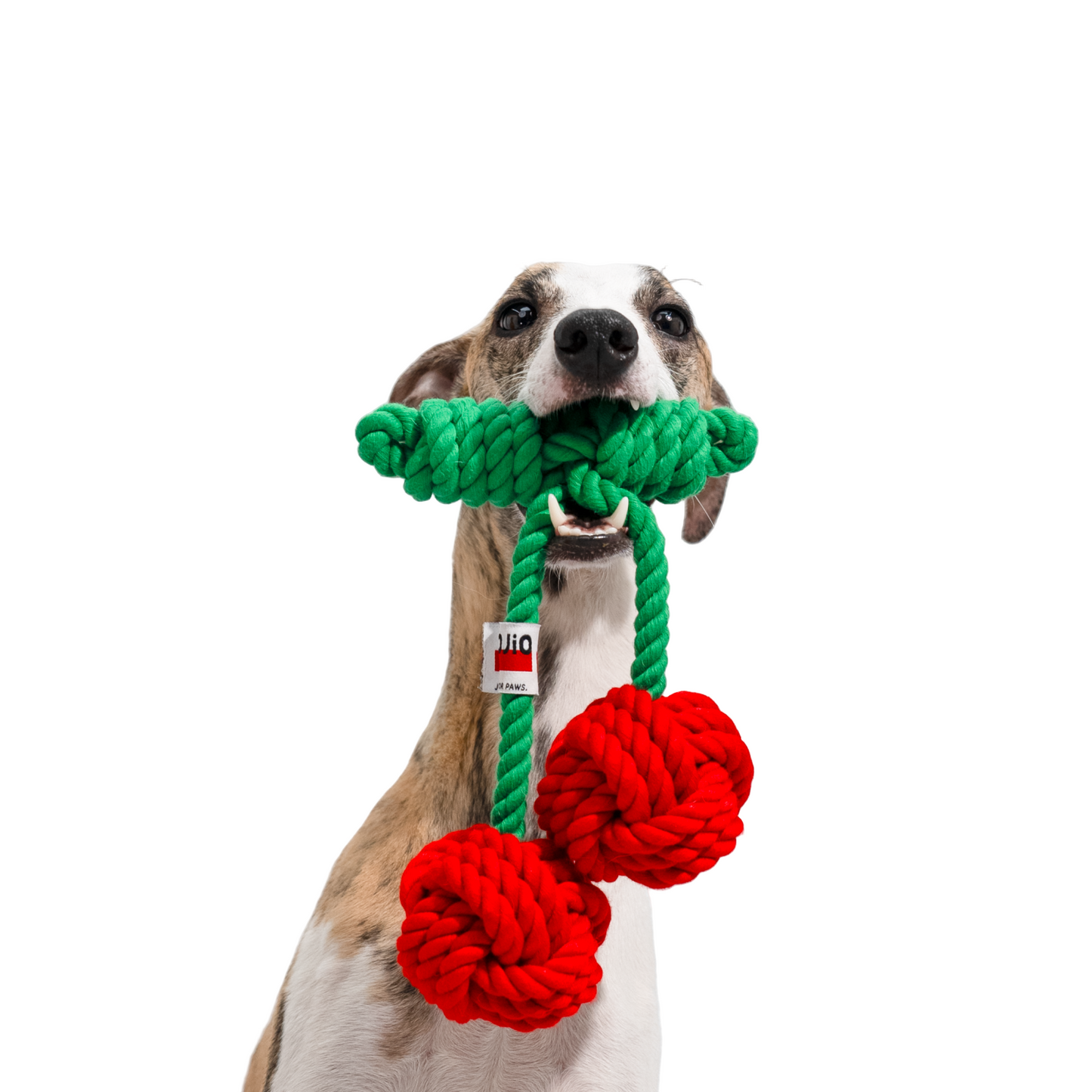 Cherry Rope Dog Toy – Durable Cotton Knot Chew Toy