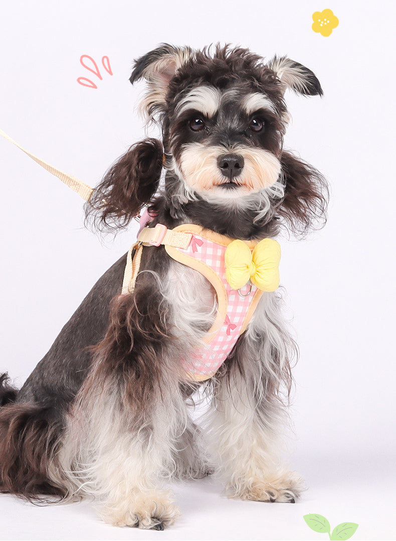 EcoPaw Sweet Bowknot Pet Harness & Leash Set
