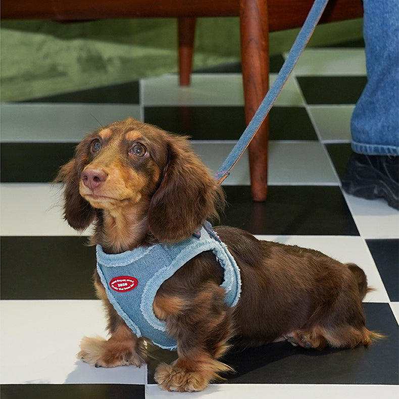 EcoPaw Denim Dog Harness & Leash Set – Stylish & Comfortable