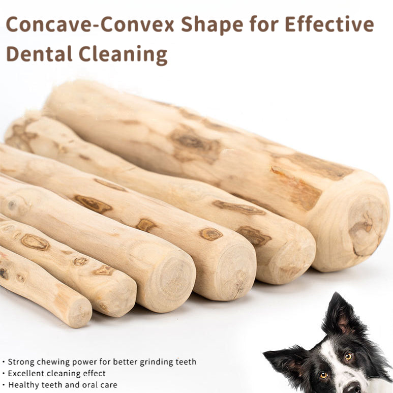 EcoPaw Natural Coffee Wood Chew Toy for Dogs