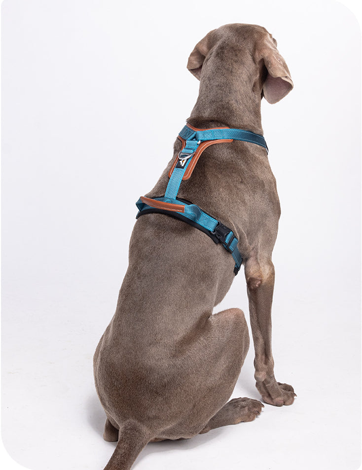 EcoPaw Premium No-Pull Reflective Dog Harnes