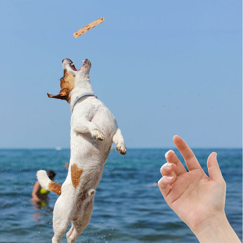 EcoPaw Natural Coffee Wood Chew Toy for Dogs