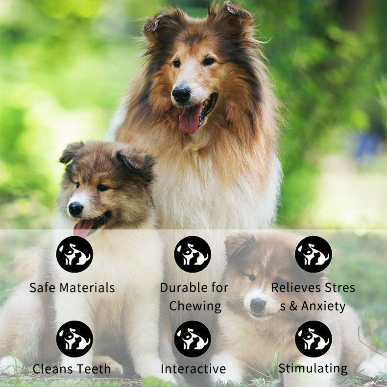 EcoPaw Natural Coffee Wood Chew Toy for Dogs