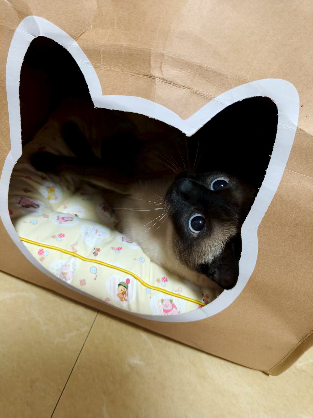 EcoPaw Recycled Kraft Pet Bag