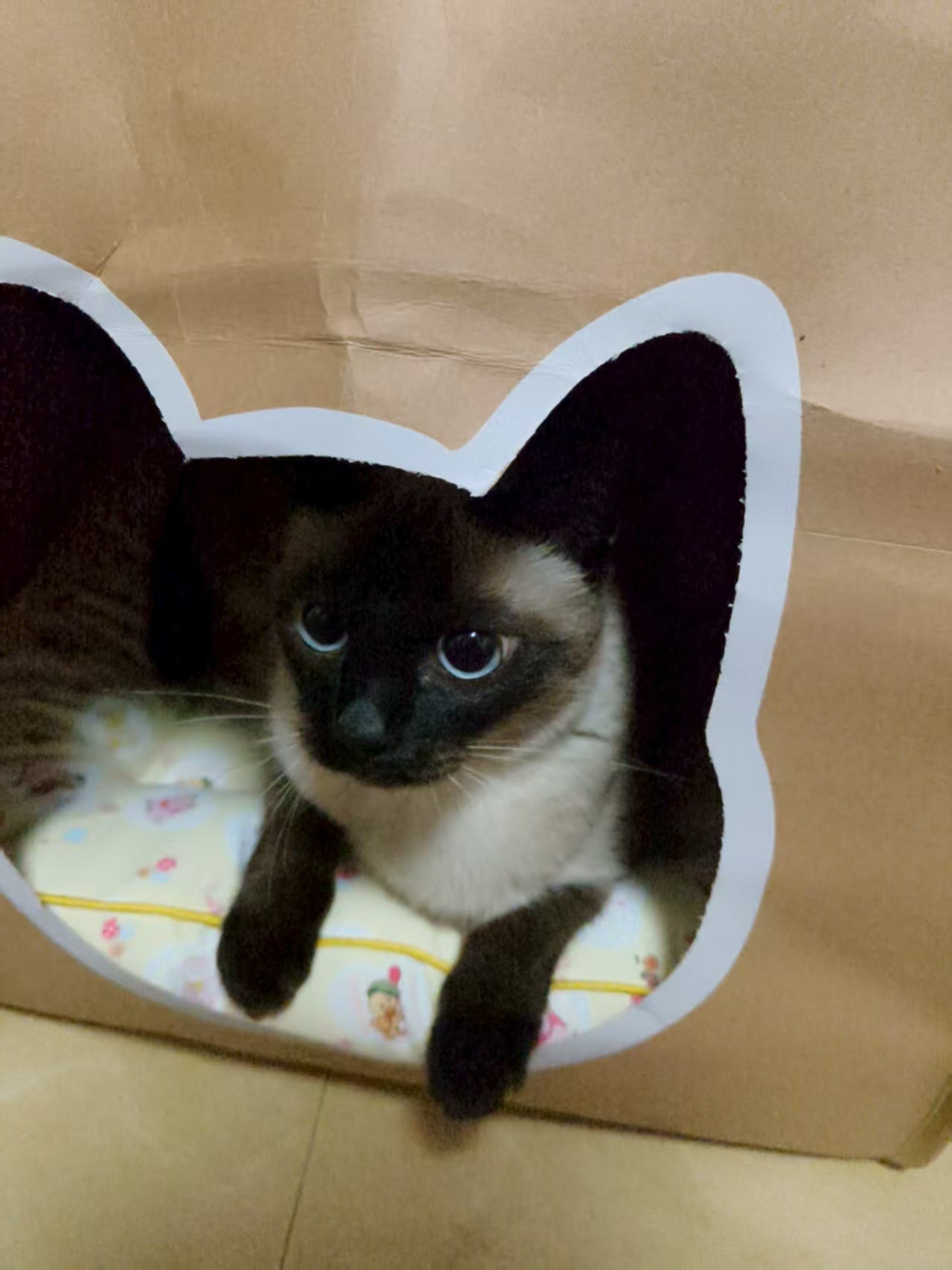 EcoPaw Recycled Kraft Pet Bag