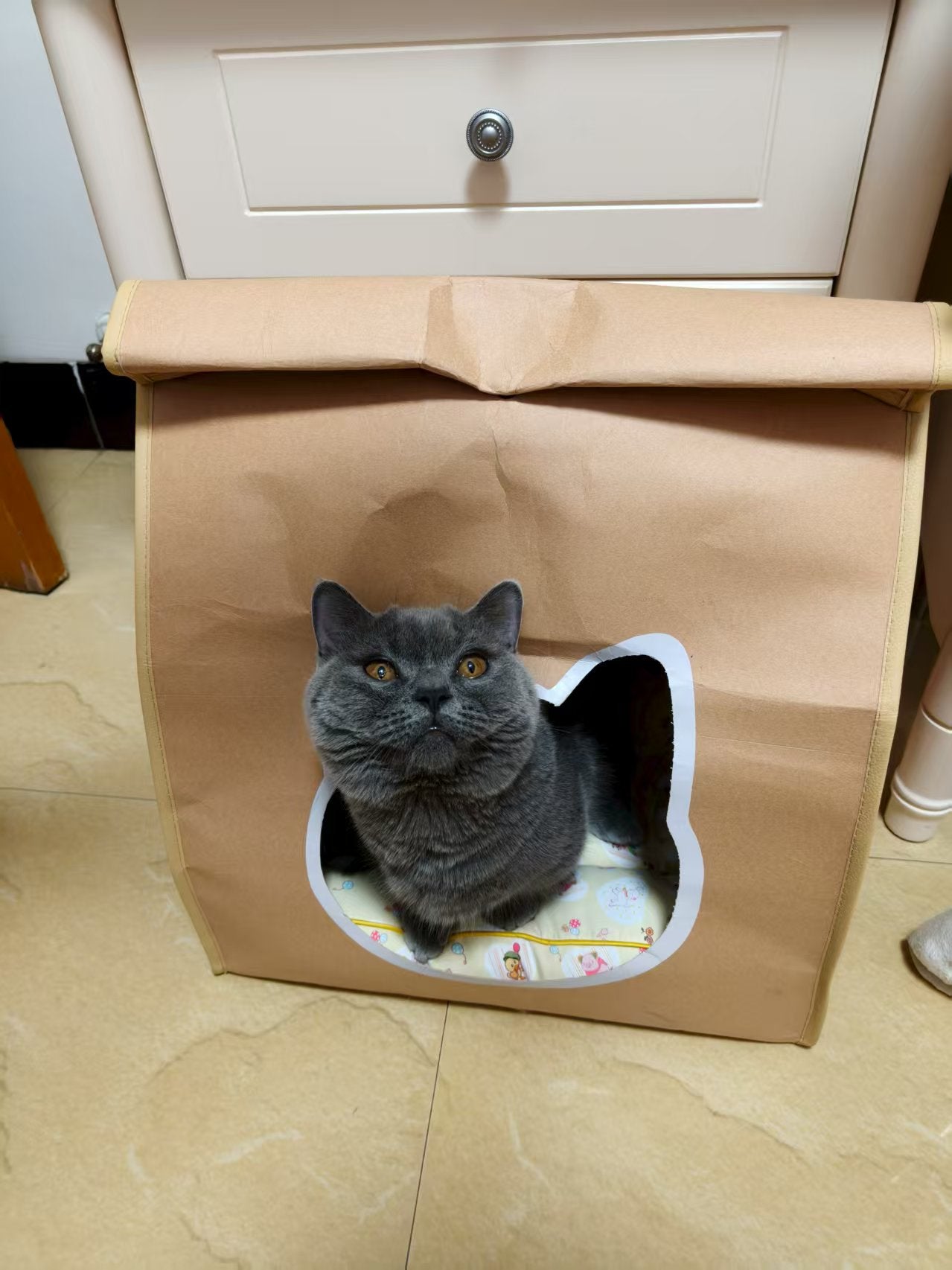 EcoPaw Recycled Kraft Pet Bag