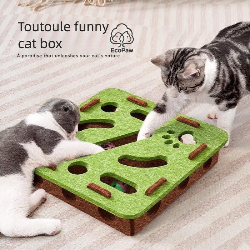 EcoPaw Interactive Cat Toy Box – Fun & Exercise in One