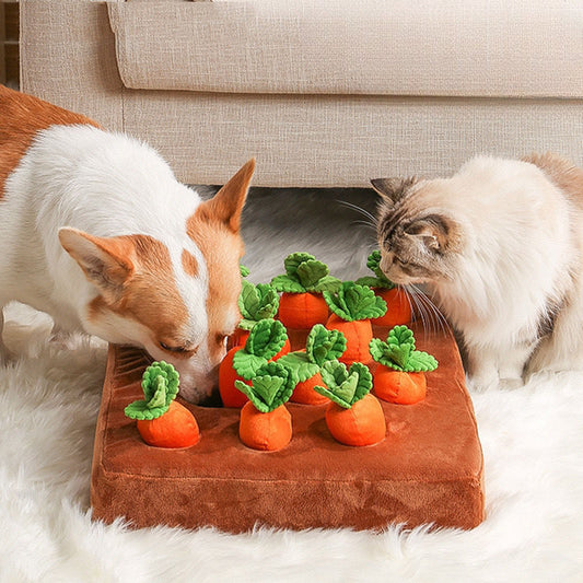 EcoPaw Carrot Harvest Enrichment Pet Toy