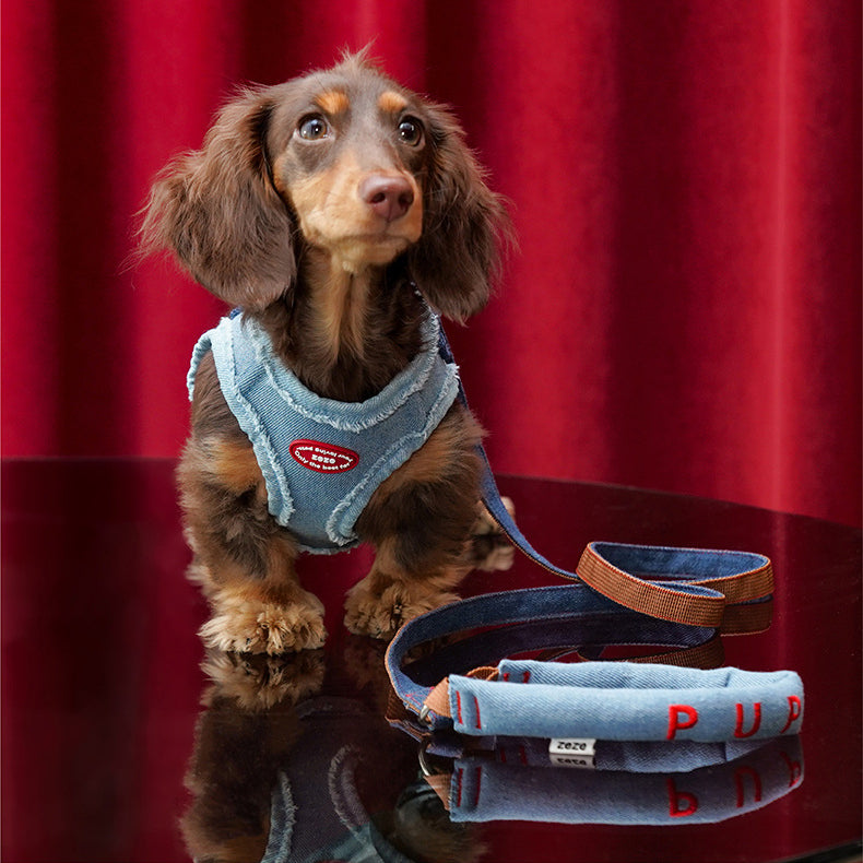 EcoPaw Denim Dog Harness & Leash Set – Stylish & Comfortable