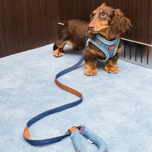 EcoPaw Denim Dog Harness & Leash Set – Stylish & Comfortable