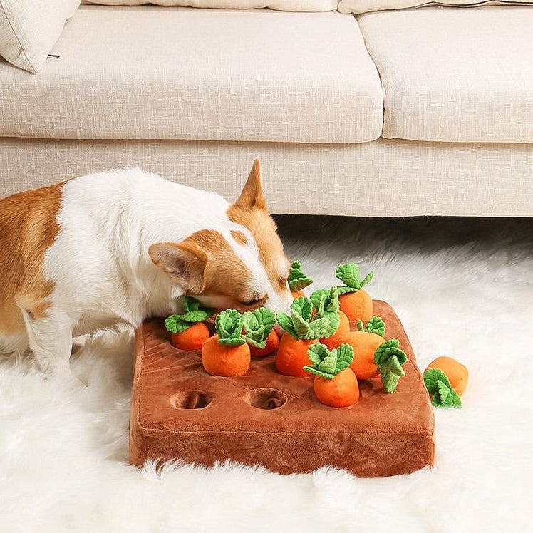 EcoPaw Carrot Harvest Enrichment Pet Toy