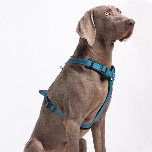 EcoPaw Premium No-Pull Reflective Dog Harnes