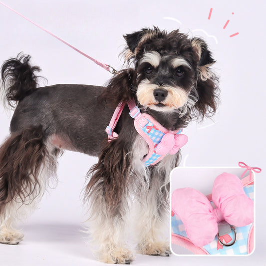 EcoPaw Sweet Bowknot Pet Harness & Leash Set
