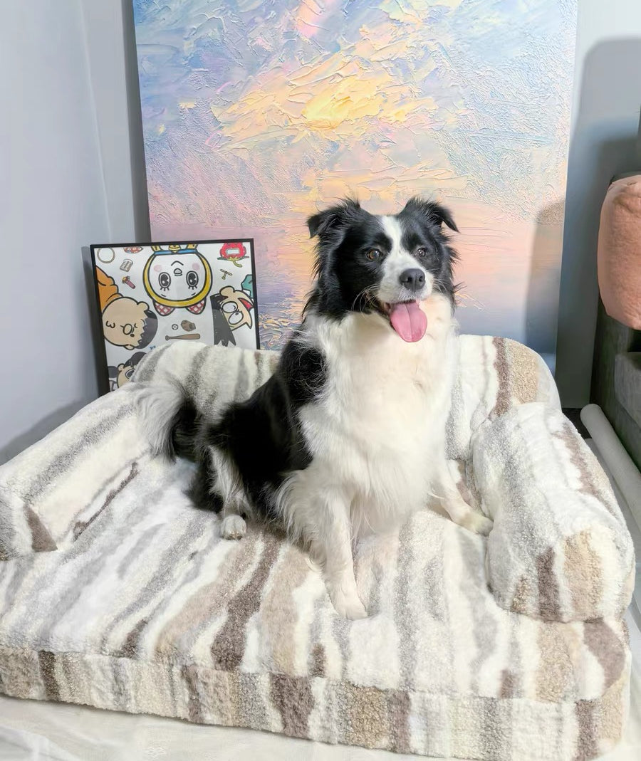 EcoPaw Natural Latex Pet Sofa Bed