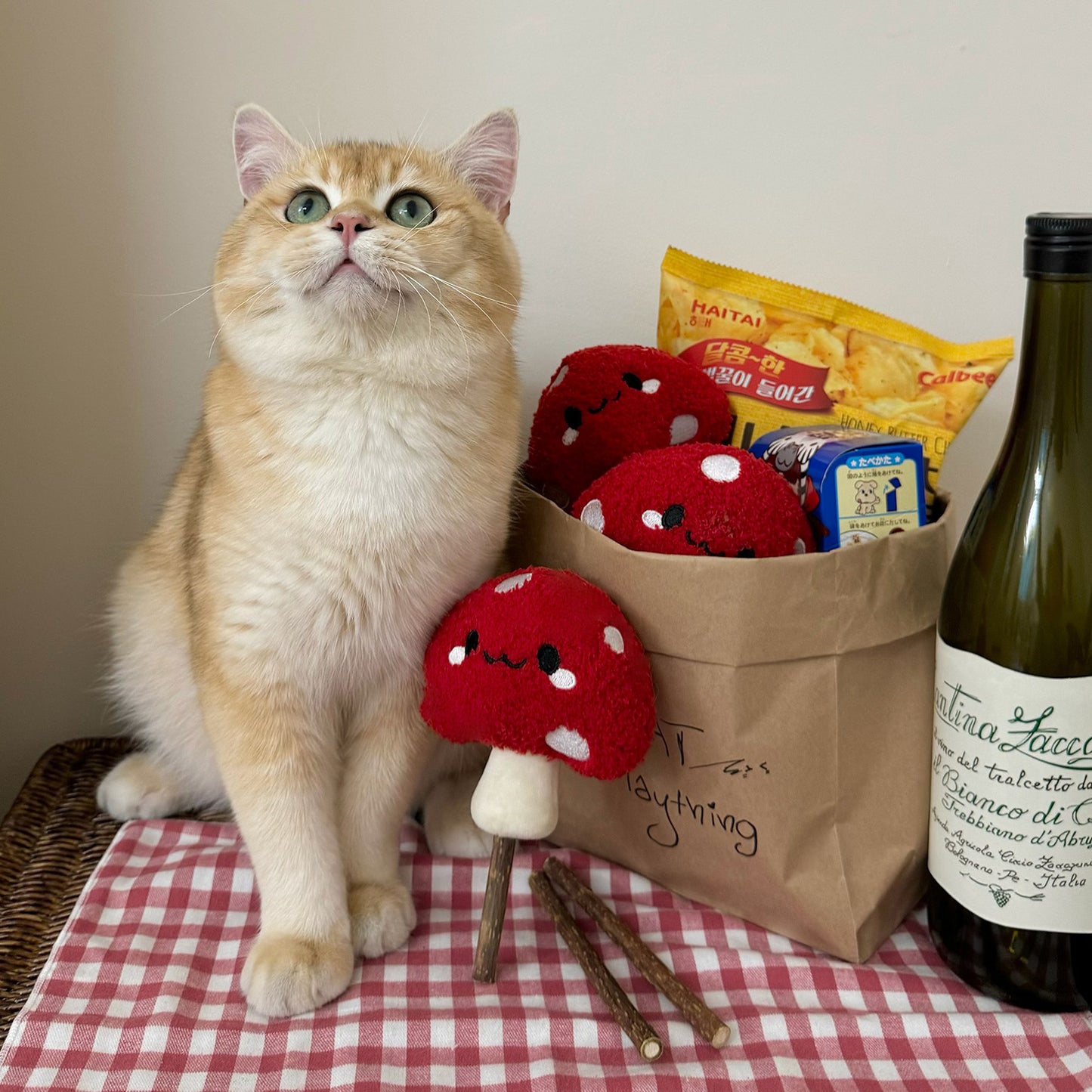 EcoPaw Mushroom Cat Chew Toy