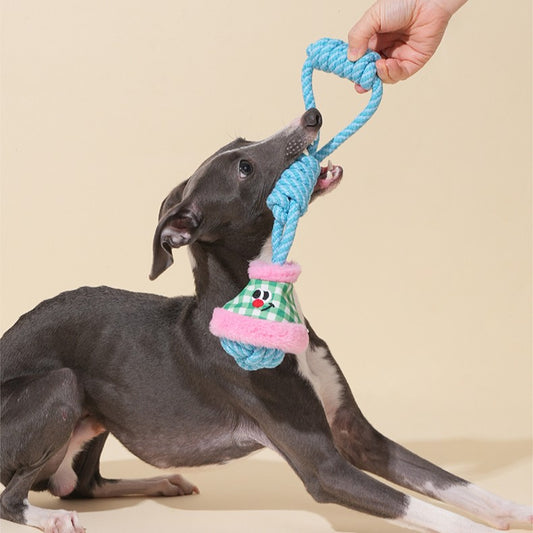 Zeze Lantern Rope Dog Toy – Interactive Tug & Chew Fun