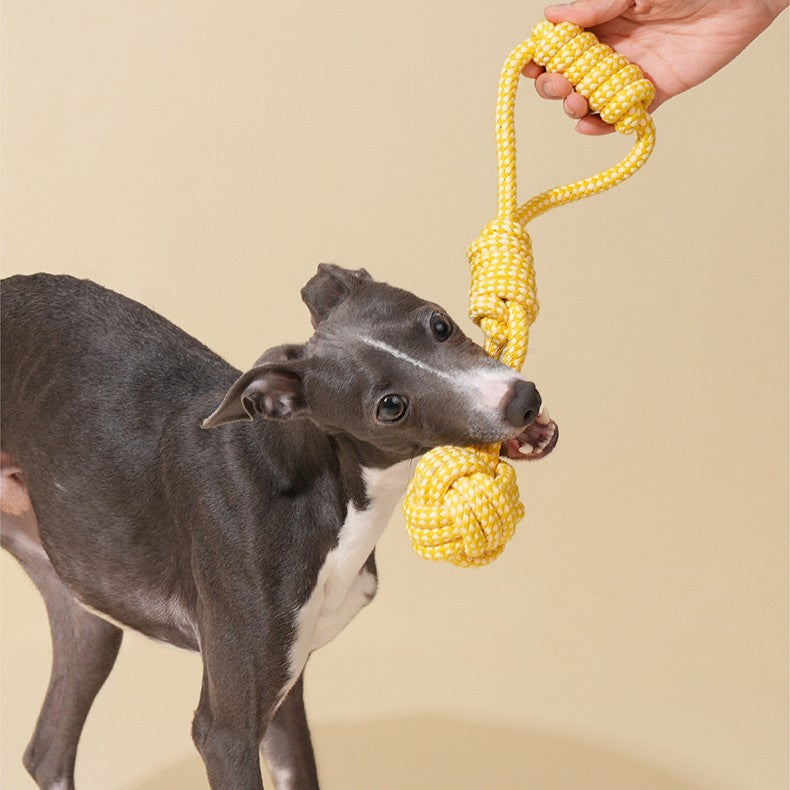 Zeze Lantern Rope Dog Toy – Interactive Tug & Chew Fun