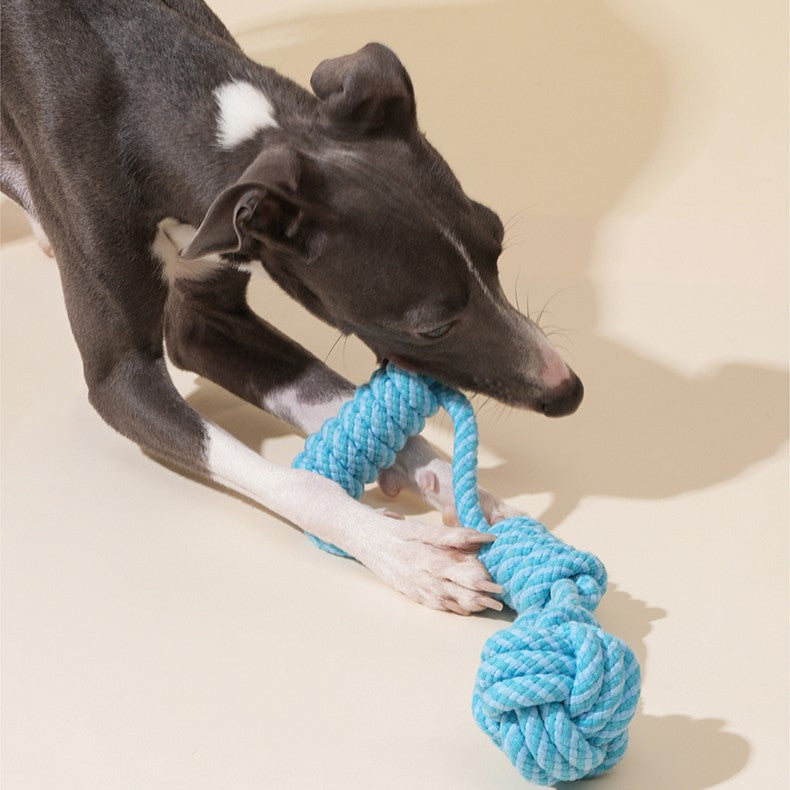 Zeze Lantern Rope Dog Toy – Interactive Tug & Chew Fun