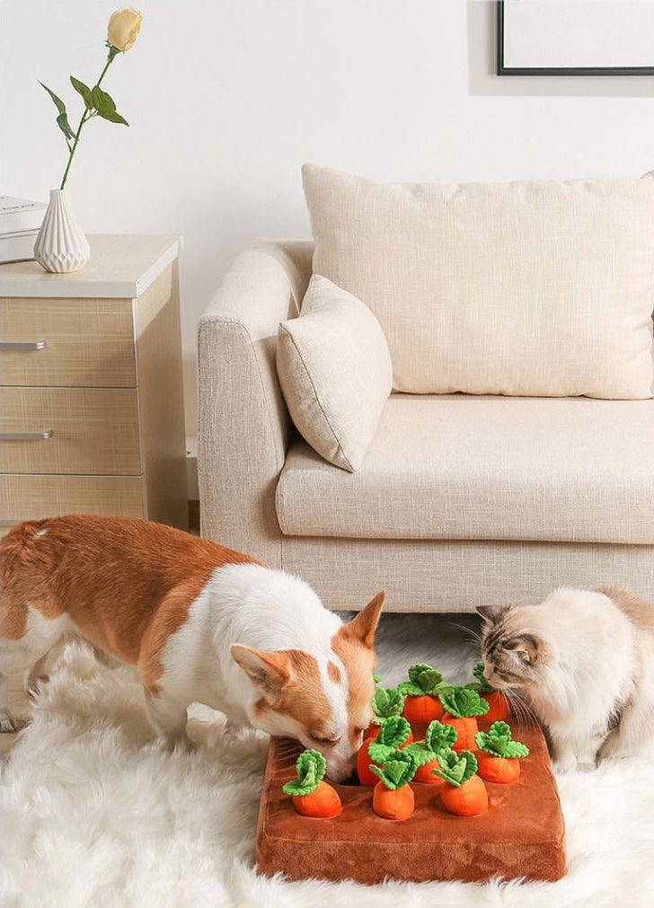 EcoPaw Carrot Harvest Enrichment Pet Toy