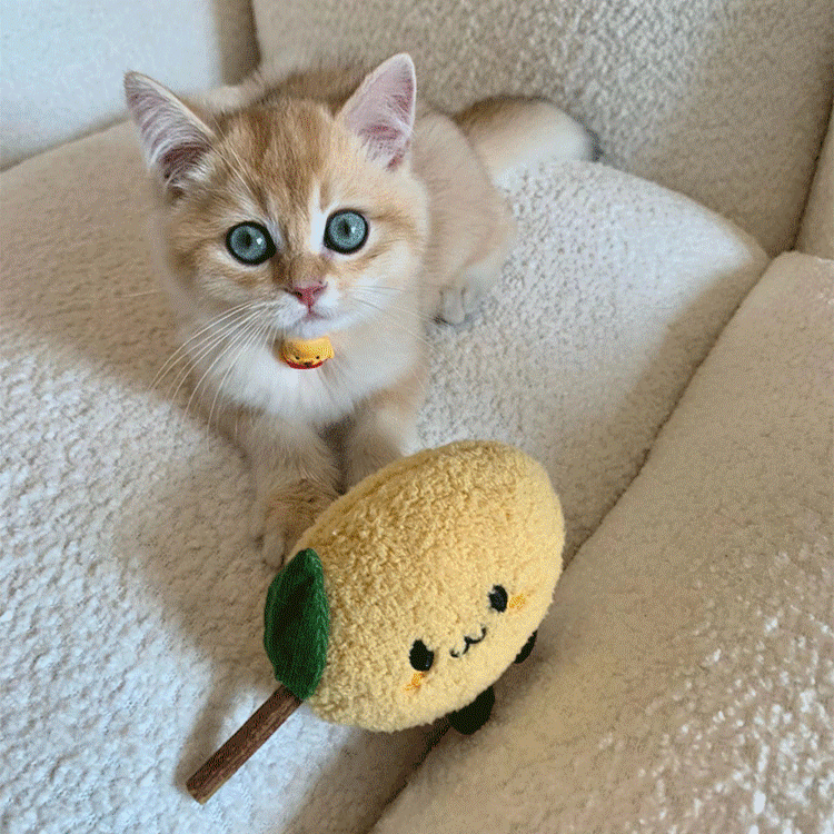 Fufu Catnip Toy with Silvervine – Cute Plush Chew & Bite Toy
