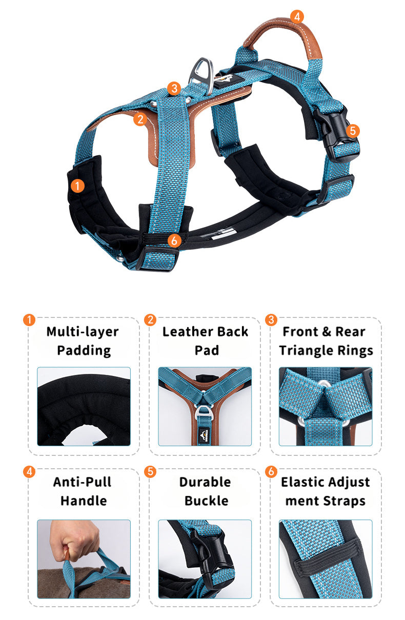 EcoPaw Premium No-Pull Reflective Dog Harnes