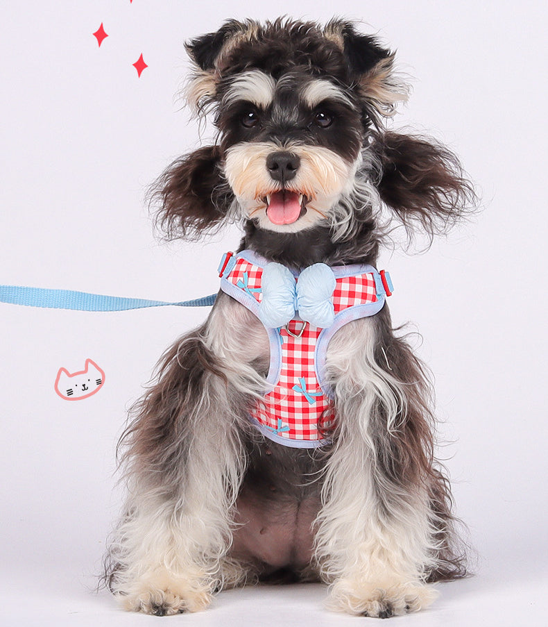 EcoPaw Sweet Bowknot Pet Harness & Leash Set