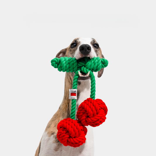 Cherry Rope Dog Toy – Durable Cotton Knot Chew Toy