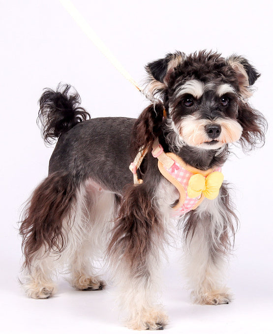 EcoPaw Sweet Bowknot Pet Harness & Leash Set