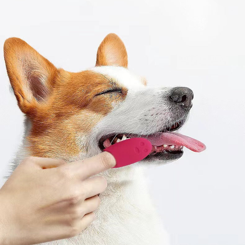 EcoPaw Pet Silicone Finger Toothbrush