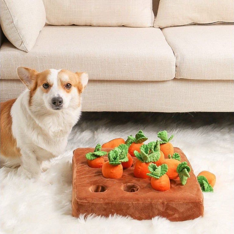 EcoPaw Carrot Harvest Enrichment Pet Toy