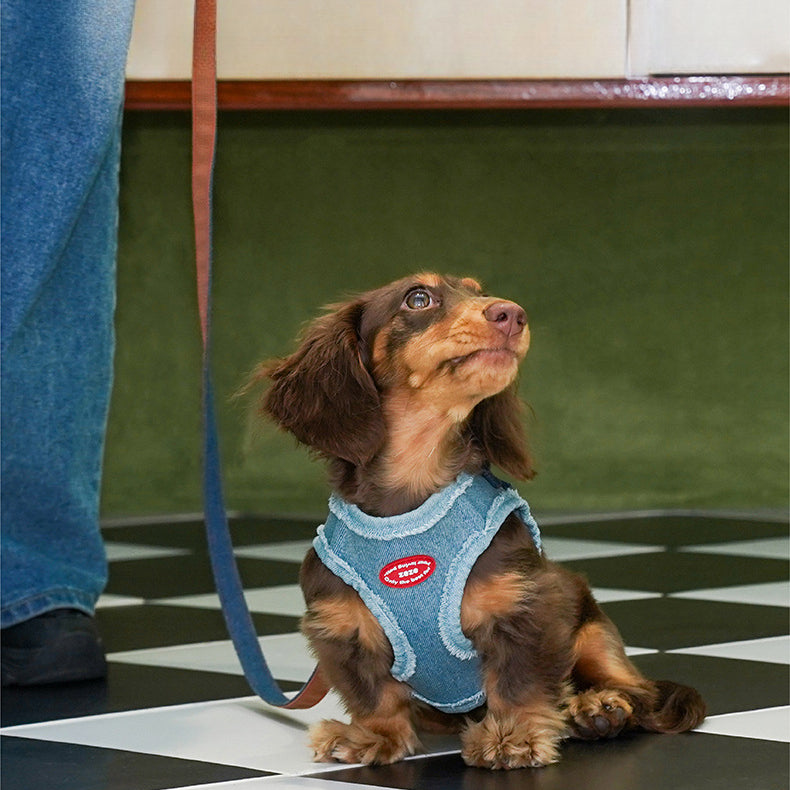 EcoPaw Denim Dog Harness & Leash Set – Stylish & Comfortable