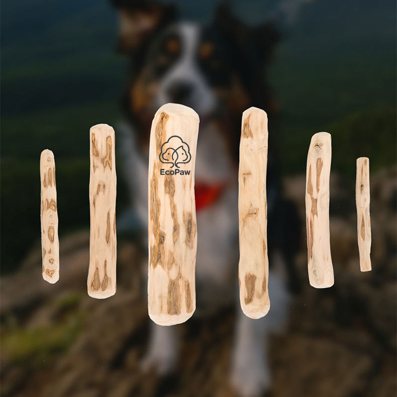 EcoPaw Natural Coffee Wood Chew Toy for Dogs