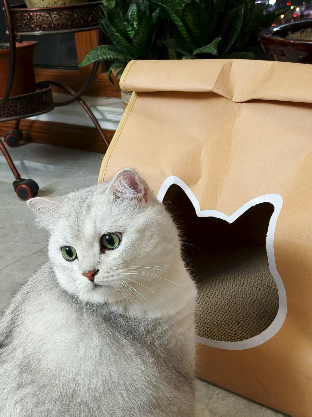 EcoPaw Recycled Kraft Pet Bag