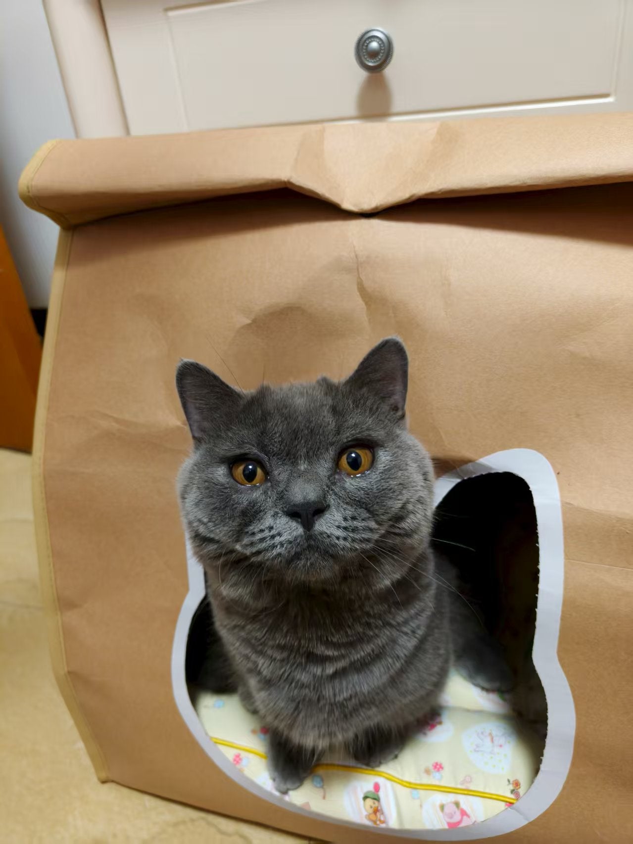 EcoPaw Recycled Kraft Pet Bag