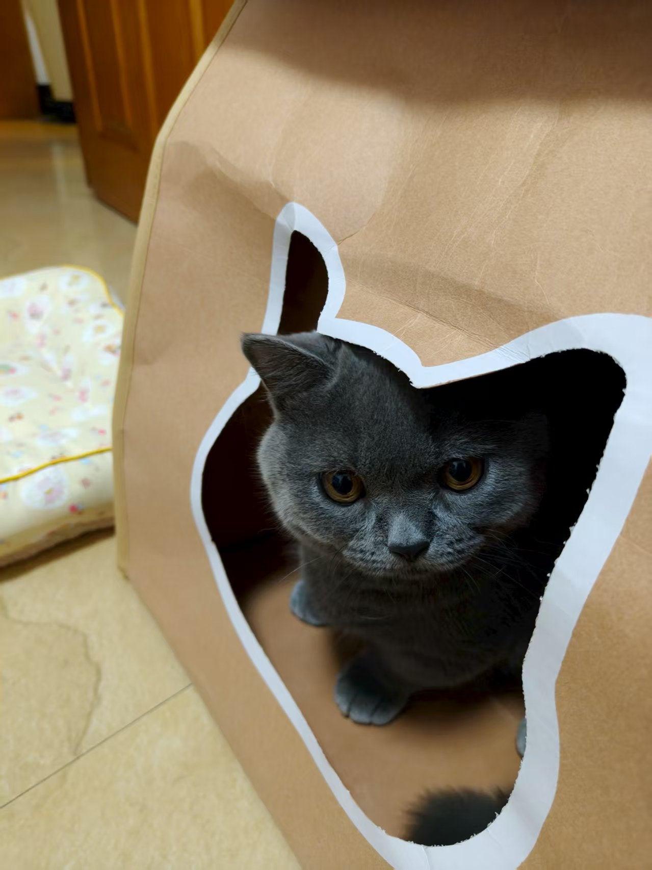 EcoPaw Recycled Kraft Pet Bag
