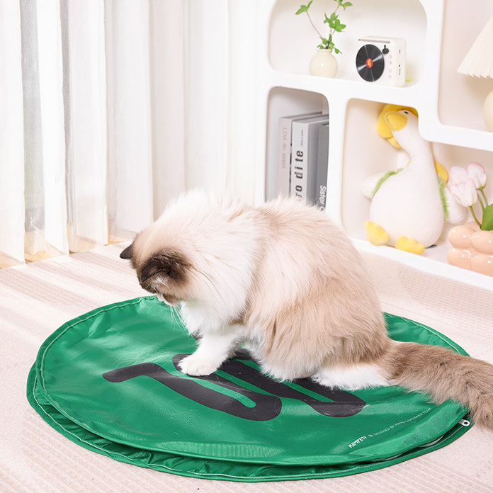 EcoPaw Automatic Cat Hunting Mat