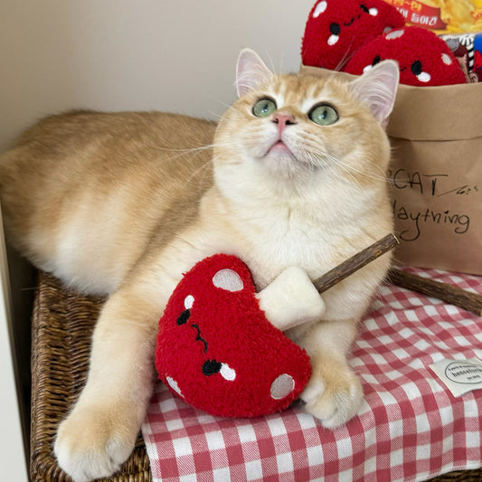 EcoPaw Mushroom Cat Chew Toy