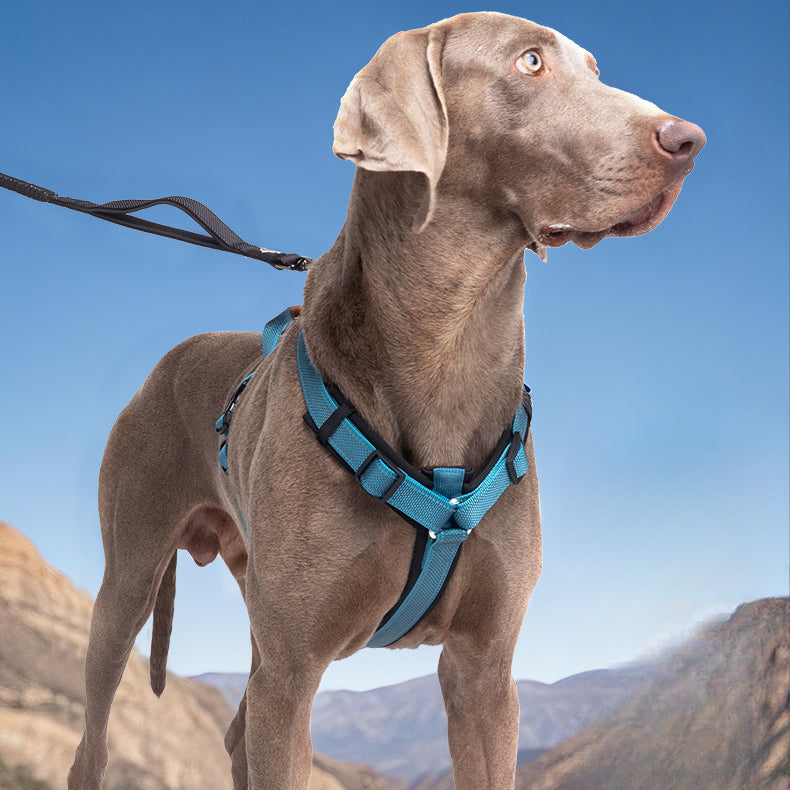 EcoPaw Premium No-Pull Reflective Dog Harnes