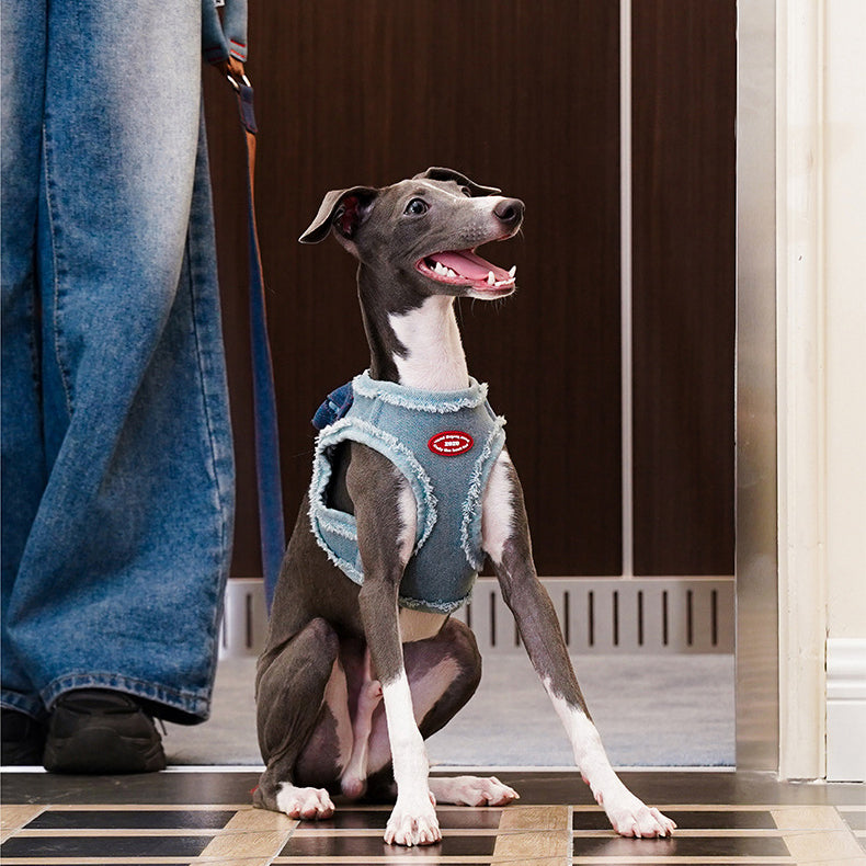 EcoPaw Denim Dog Harness & Leash Set – Stylish & Comfortable