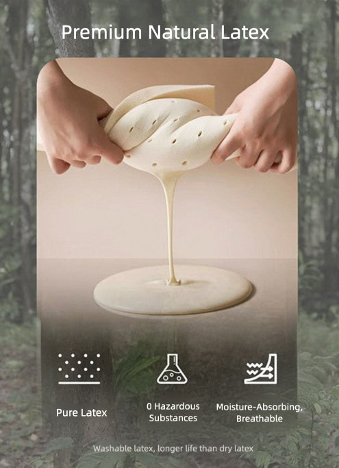 EcoPaw Natural Latex Pet Sofa Bed