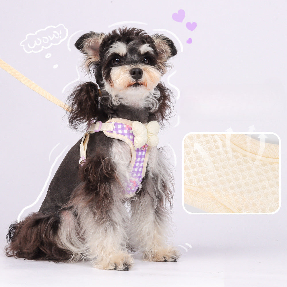EcoPaw Sweet Bowknot Pet Harness & Leash Set