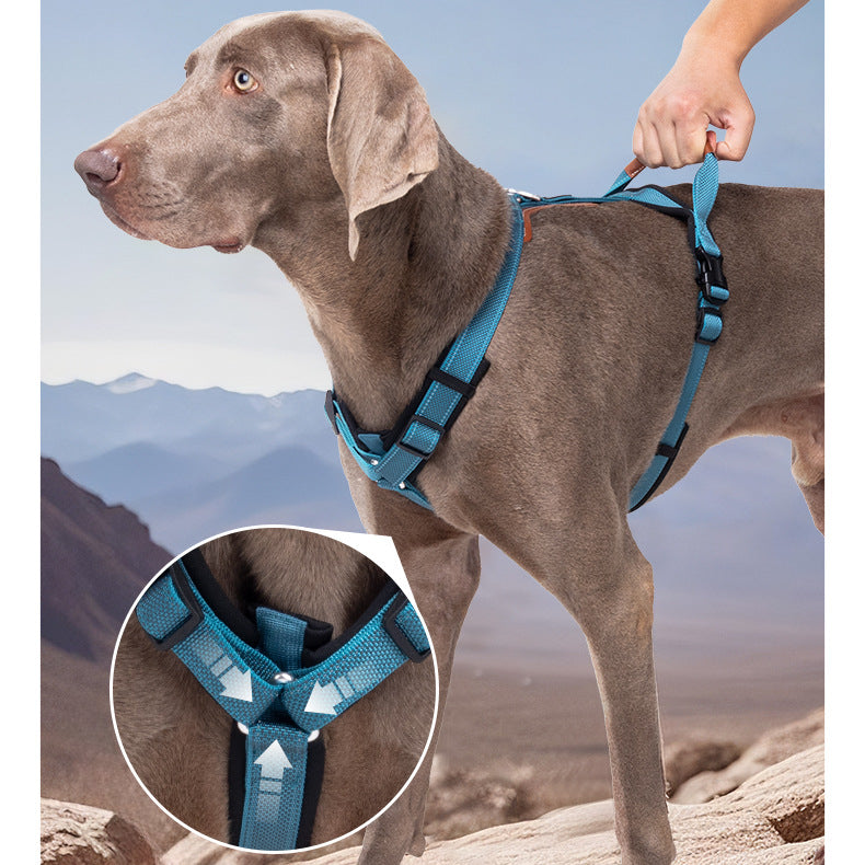 EcoPaw Premium No-Pull Reflective Dog Harnes