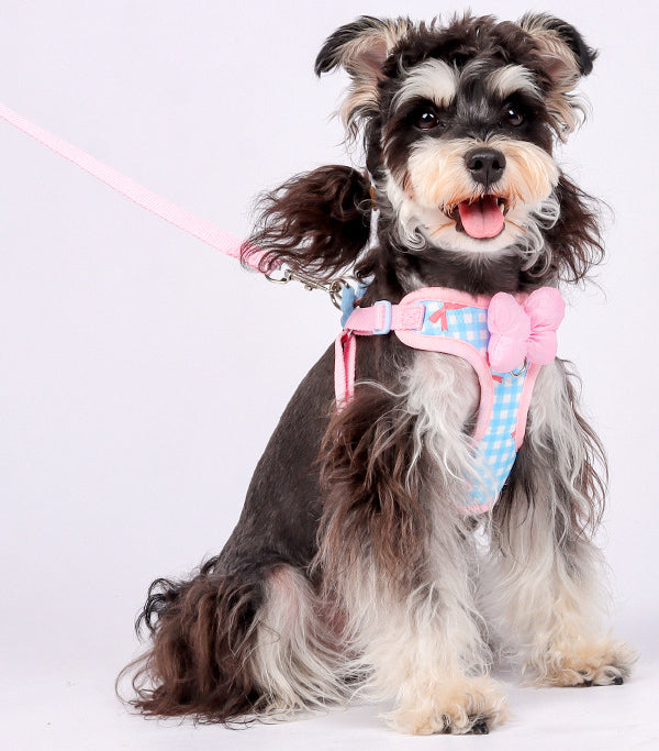 EcoPaw Sweet Bowknot Pet Harness & Leash Set