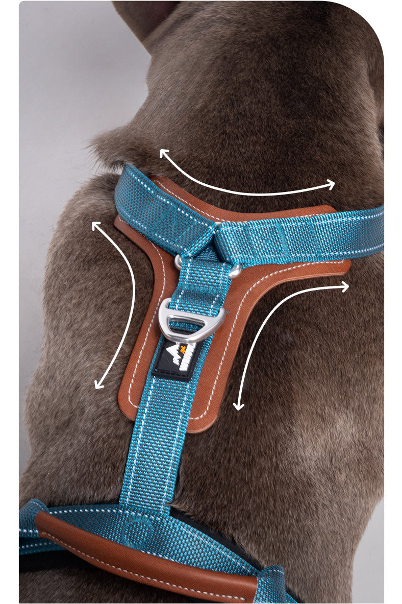 EcoPaw Premium No-Pull Reflective Dog Harnes