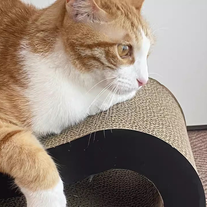 EcoPaw Infinity-8 Cat Scratcher